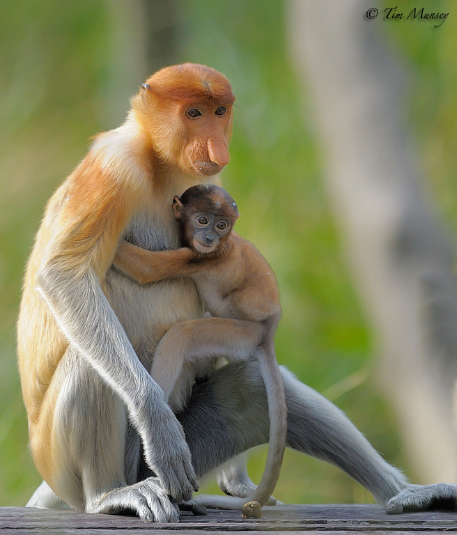 Mum and Baby_2